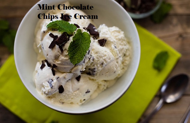 mint chocolate chip ice cream