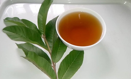 Guava Leaf Tea 
