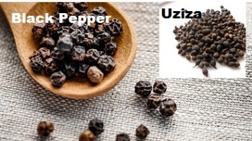 Uziza seeds