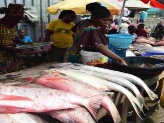 Seafood Market in Lagos