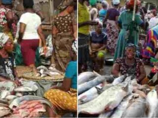 Fish Market in Lagos