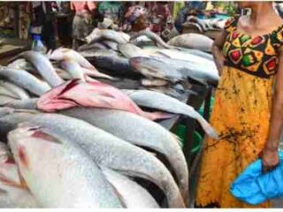 Seafood Market in Lagos