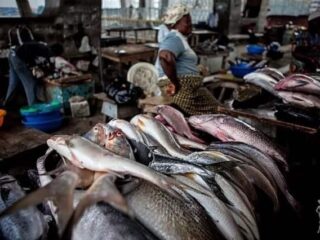 Fish Market in Lagos 