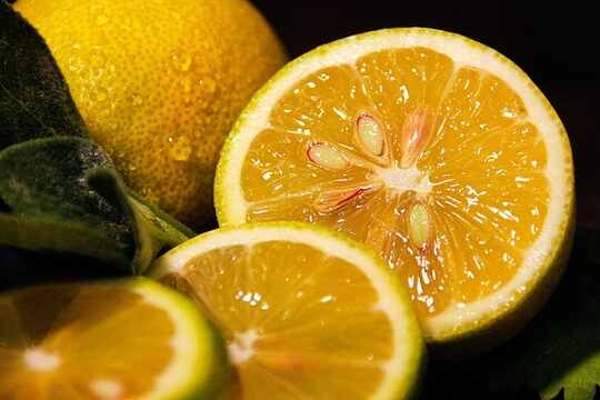 Lemon Seeds Benefits