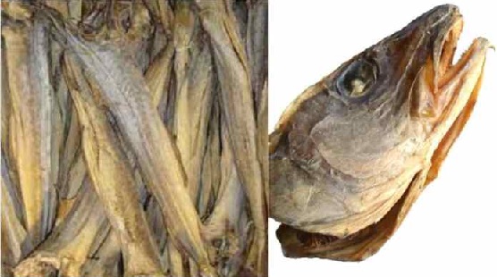 Benefits of Stockfish