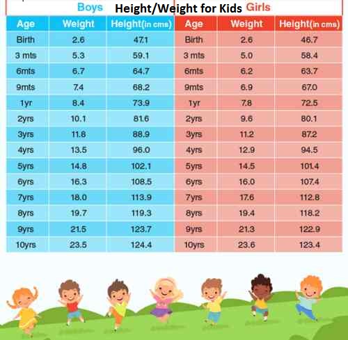 Height Weight Chart 