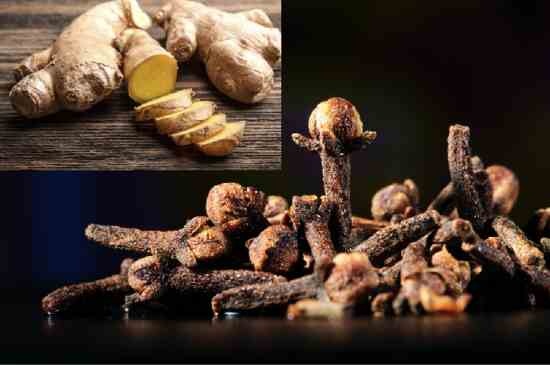 Health Benefits of Ginger and Cloves