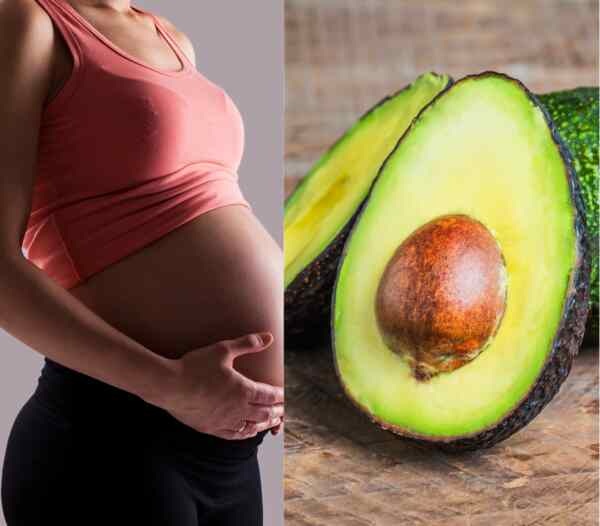 Benefits of Avocado Seed for Fertility