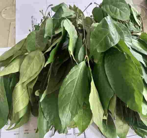 Health Benefits of Ukazi Leaf