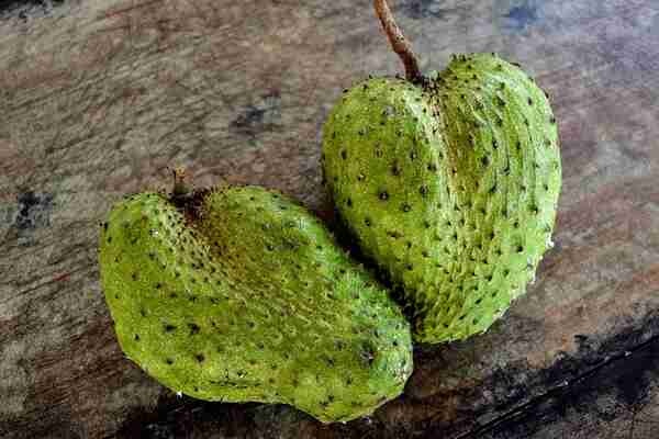 Benefits of Soursop For Good Health Skin