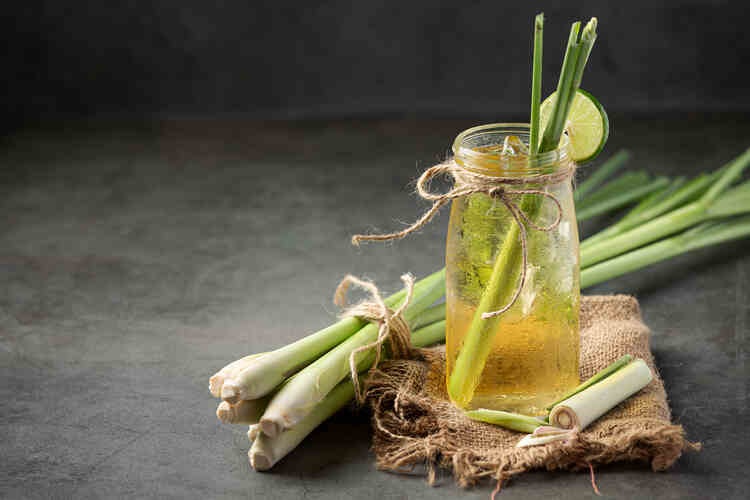 Benefits Of Lemongrass Tea 