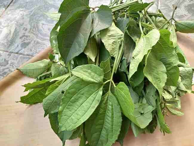 Healthy Nigerian Leafy Vegetables